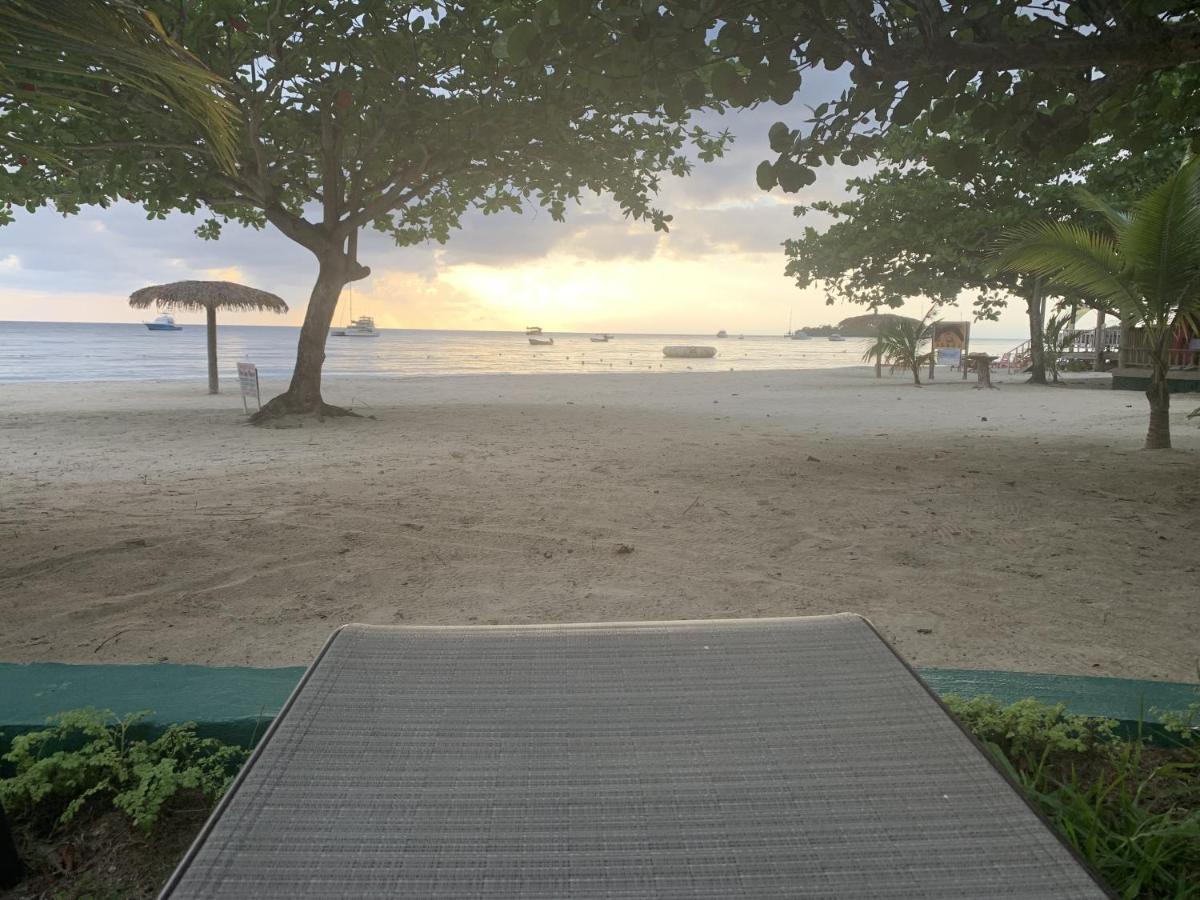 King Suite At Oceanview Resort In Jamaica - Enjoy 7 Miles Of White Sand Beach! Negril Extérieur photo